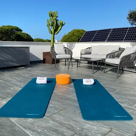 Appartement Mas Del Cullou, Moderne In Andalusien, In Der Naehe Vom *